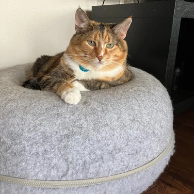 Sophie